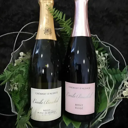 Alsace Escale Du Desir * Niederbronn-les-Bains