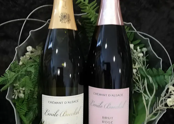 Alsace Escale Du Desir * Niederbronn-les-Bains